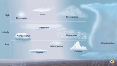 cloud types